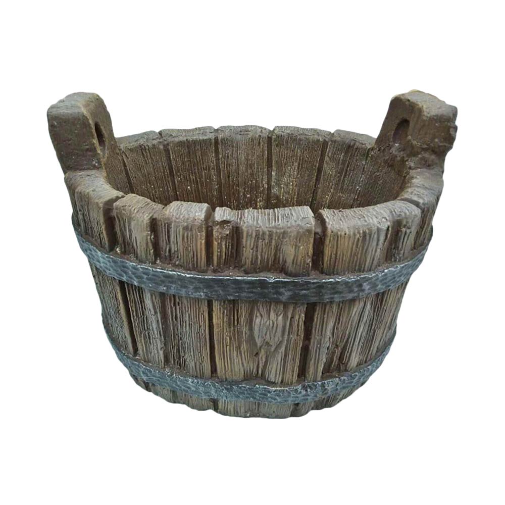 Әйелдердің сперматозоидтары