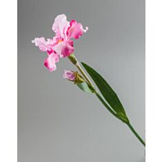 Штучна квітка Ірис 089F/pink 80см - фото