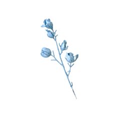 Декоративная новогодняя ветка магнолия Dashuri 45 см голубая - фото