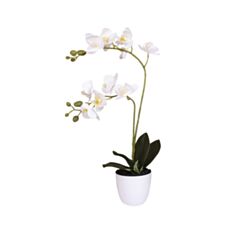Цветы орхидея в горшке Decorize 2018-1 - фото