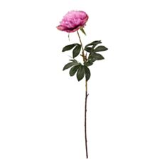 Искусственный цветок Elisey Пион 016FS-PL 95 см - фото