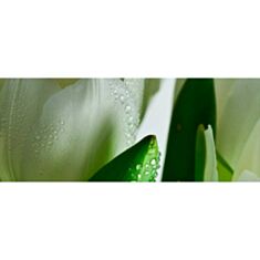 Панно Атем Yalta Tulip Maxi W 1 20*50 белый - фото