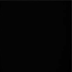Плитка для підлоги Атем Mono BK 40*40 чорна - фото