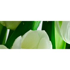 Панно Атем Yalta Tulip Maxi W 3 20*50 белый - фото