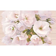 Плитка для стін Cersanit Carmel ins Flower Декор 25*40 см бежевий - фото