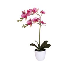 Цветы орхидея в горшке Decorize 2018-2 - фото