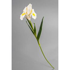 Штучна квітка Ірис силіконовий 004-27S/white 75см - фото