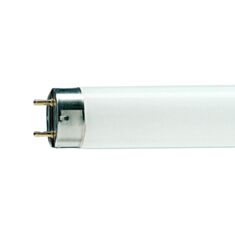 Лампа люмінесцентна Philips TLD 58W/765 (54) G13 - фото