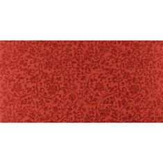 Плитка для стен Imola Ceramica Jabot 24R 20*40 см красная - фото
