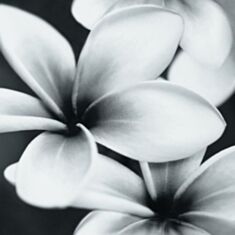 Панно Opoczno Pret-a-Porter Flower Grey Composition 75*75 - фото
