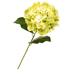 Искусственный цветок Elisey Гортензия 2000-003GN лимонная - фото