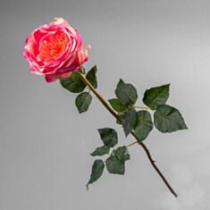Искусственный цветок Чайная роза 027F/pink 70 см - фото