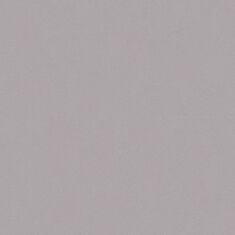 Шпалери вінілові Sintra Sumantra UNI 445549 - фото