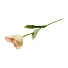 Искусственный цветок Elisey Тюльпан 016FR-2/pink 66 см - фото