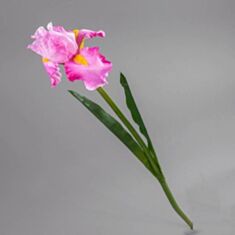 Искусственный цветок Ирис 004F/pink 75 см - фото