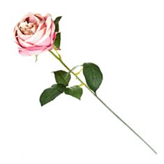 Искусственный цветок Elisey Роза 036FS-PH 65 см - фото