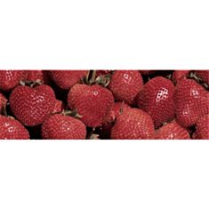 Плитка Ibero Waves Strawberry-A декор 25*75 см красная - фото