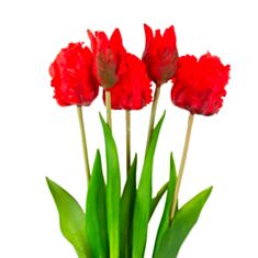Букет латексних тюльпанів Decorize 1338-1 махрові червоні 47 см - фото