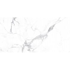 Керамограніт Allore Group Alcora Grey F P Full Lappato Rec 60*120 см білий - фото