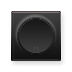 Выключатель одноклавишный перекрестный OneKeyElectro черный - фото
