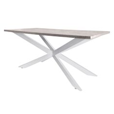 Стол обеденный Металл-Дизайн Икс 155*80 см аляска/белый - фото