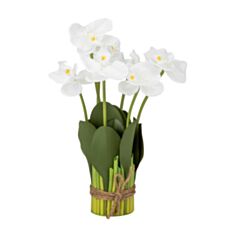 Декоративний букет орхідей Elisey 8931-016 33 см білий - фото