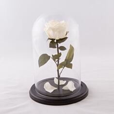 Штучна квітка Троянда біла в колбі 25см - фото