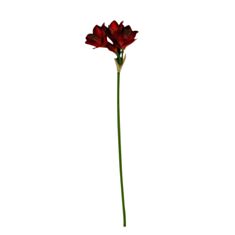 Искусственный цветок 130142RO amaryllis - фото
