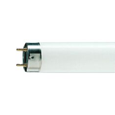Лампа люмінесцентна Philips TLD 18W/765 (54) G13 - фото