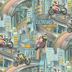 Шпалери вінілові Слов'янські 2363-04 Драйв В121 - фото