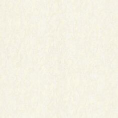 Шпалери вінілові Статус 9076-23 - фото