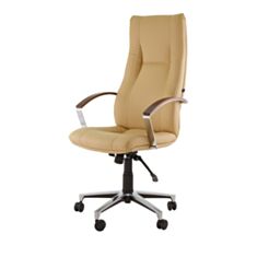 Крісло для керівників KING steel Anyfix ECO-01/ECO-01 1.031 - фото