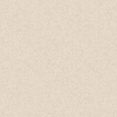 Обои виниловые Sintra Borneo UNI 392737 - фото