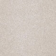 Обои виниловые Bravo Simple SP502-03 - фото