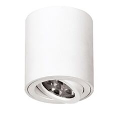 Світильник точковий поворотний Feron ML302 білий - фото