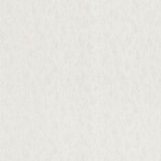 Шпалери вінілові Статус 9056-17 - фото