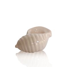 Підсвічник декоративний мушля ETERNA SE408-7 бежевий - фото