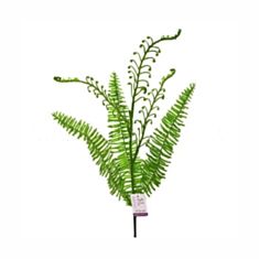 Штучна квітка Папороть зелена SL CF120-206/03 62см - фото