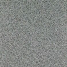 Лінолеум Tarkett Smart 1216-00 2 м - фото