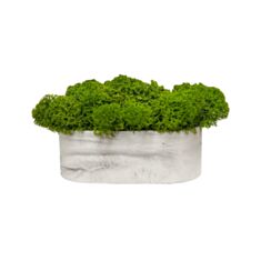 Кашпо овал з мохом Cute сірий мармур new - фото