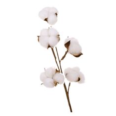 Декоративна гілка бавовна BonаDi H39-118 42 см  - фото