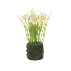 Декоративний композиція Нарциси BonaDi 714-128 з штучним мохом 22 см біла - фото