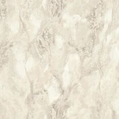 Шпалери вінілові Статус 421ST21 - фото