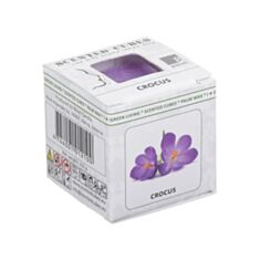 Аромакубики Scented Cubes Шафран крокус - фото