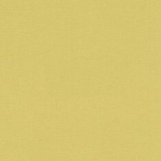 Шпалери вінілові Rasch FlorentineII 449839 - фото