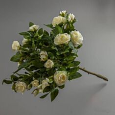 Штучна квітка Троянди (букет) білий 107F 50см - фото