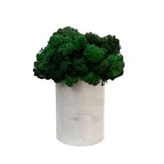 Стакан Cute длинный с мхом серый мрамор - фото