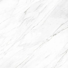 Керамограніт Almera Ceramica Carrara Classico 120*120 см білий - фото