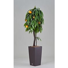 Штучний вазон Мандарин у плетеному вазоні - фото