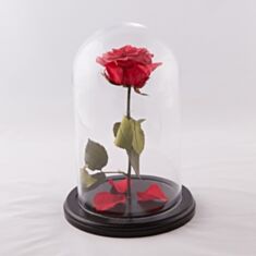 Штучна квітка Троянда червона в колбі 25см - фото